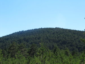 Patrimonio natural de Orihuela del Tremedal