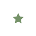 Icono circulo estrella